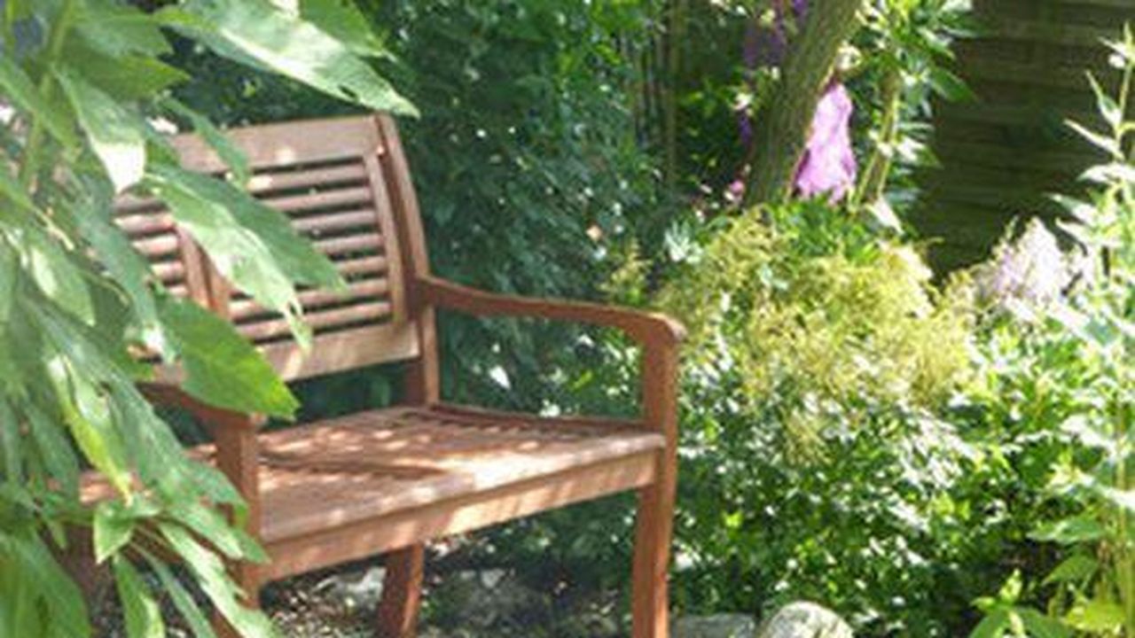 lauschiges Plätzchen lauschiges Plätzchen